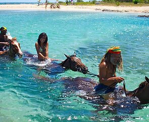 Horse Back Riding in Jamaica with Collins Adventure Tours