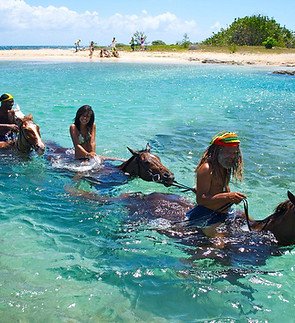 Horse Back Riding in Jamaica with Collins Adventure Tours