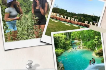 Collin’s Adventure Tours Triple Tours Bluehole, Weed Farm & Montego Bay City Tour in Jamaica