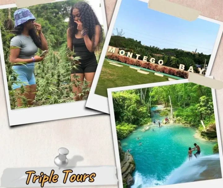 Collin’s Adventure Tours Triple Tours Bluehole, Weed Farm & Montego Bay City Tour in Jamaica
