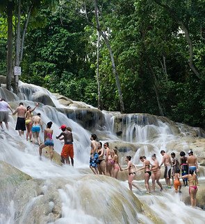 Dunn's River with Collin Adventure Tours